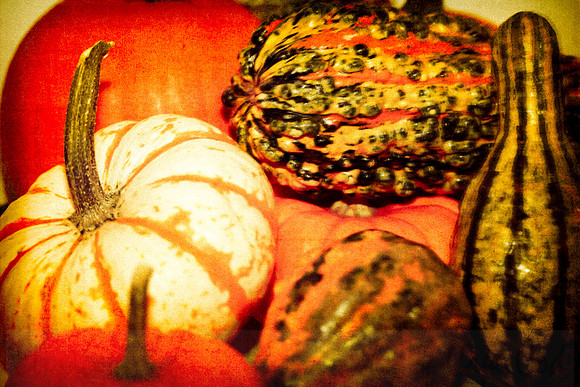 Pumpkins & Ghords