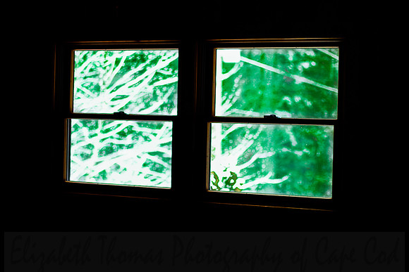 A View of the World Outside
