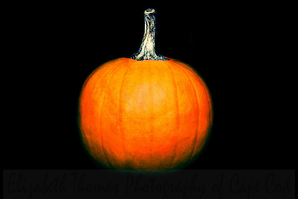 Pumpkin