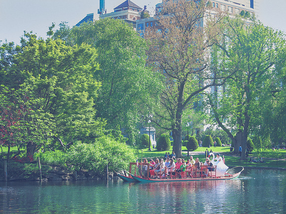 Swan Boats Boston Public Gardens