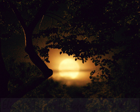 Rising Moon Over Boston