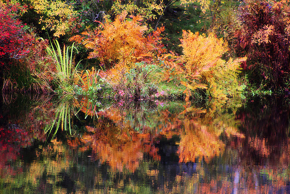 Park Mount Desert Island Park Maine