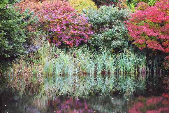 Fall Park Mount Desert Island Park Maine