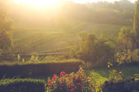 Saint-Emilion France