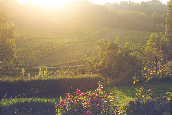 Saint-Emilion France