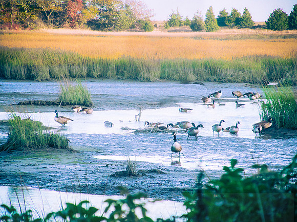 Ellisville Harbor, Plymouth, Massachusetts