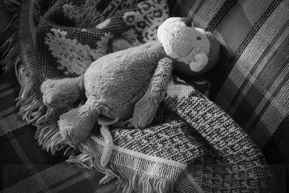 Stuffed Monkey