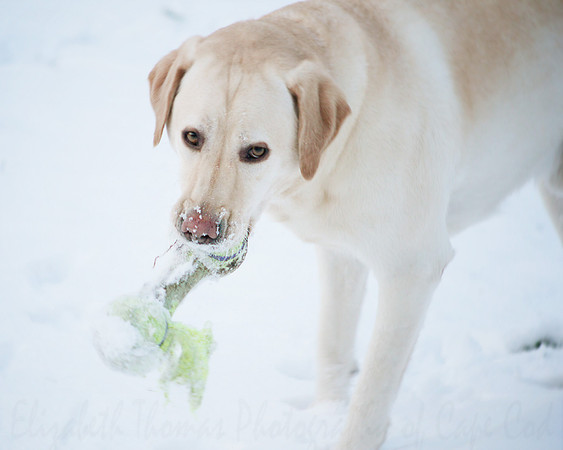 I Don't Share My Ball