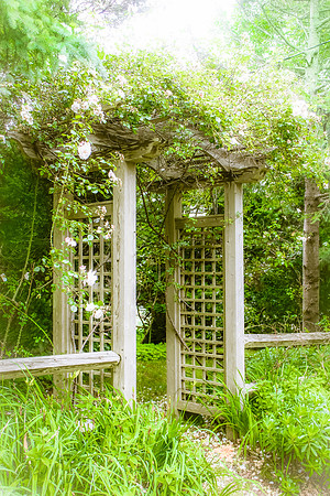 Garden Trellis, Sagamore Beach, Massachusetts