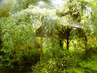 Japanese Garden