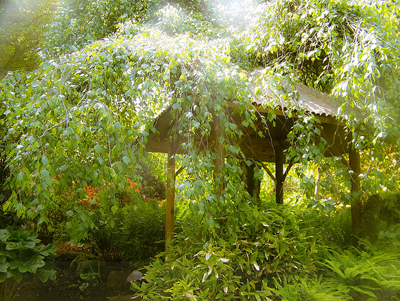 Japanese Garden