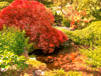 Japanese Garden, Butchart Garden, Victoria Island, British Columbia, Canada