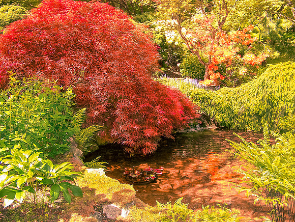Japanese Garden, Butchart Garden, Victoria Island, British Columbia, Canada