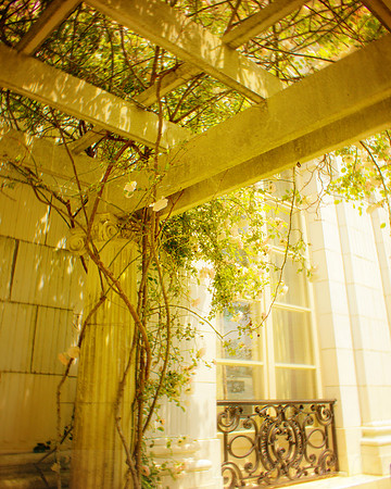 Rose Trellis, Rose Cliff Mansion, Newport, Rhode Island