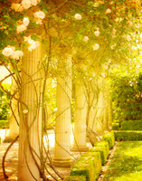 Rose Trellis, Rose Cliff Mansion, Newport, Rhode Island