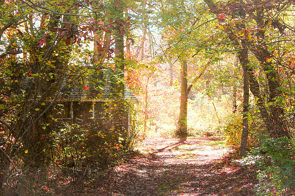 Cabin in the Woods 1