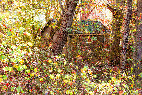Cabin in the Woods_2