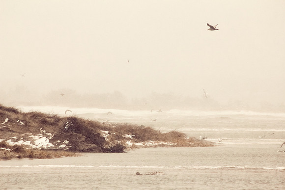 Stormy Cape Cod Beach