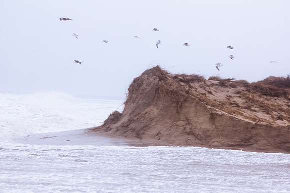 Town Neck Beach, Sandwich, Cape Cod