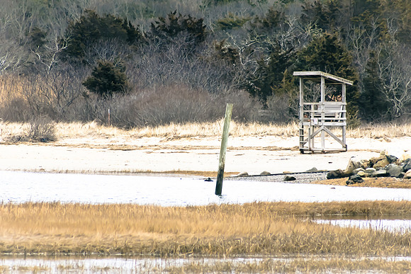Grays Beach, Yarmouthport, Cape Cod, Massachusetts