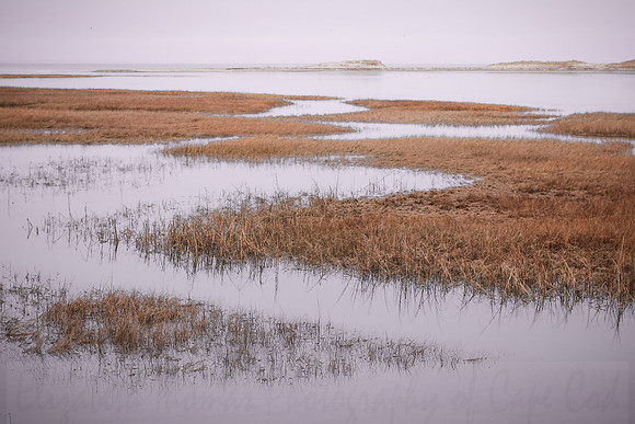 Grays Beach, Yarmouthport, Cape Cod, Massachusetts