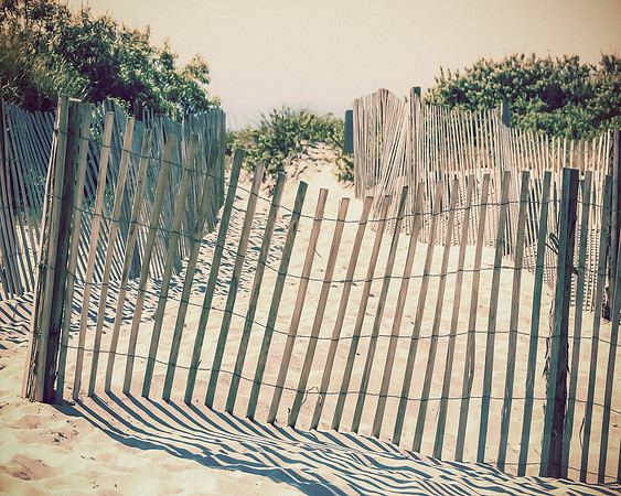Beach Fence