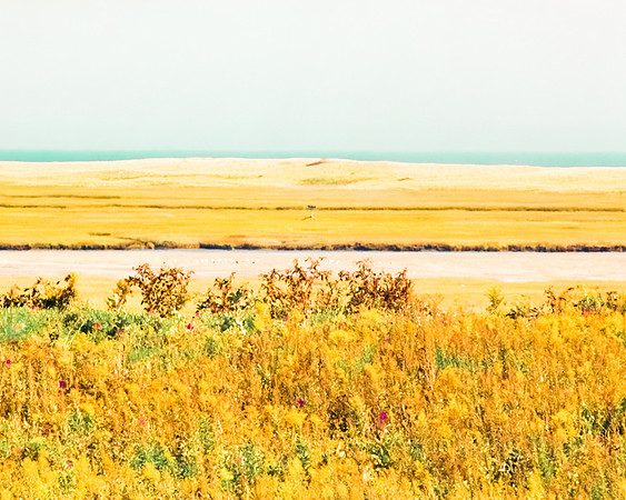 Cape Cod National Seashore
