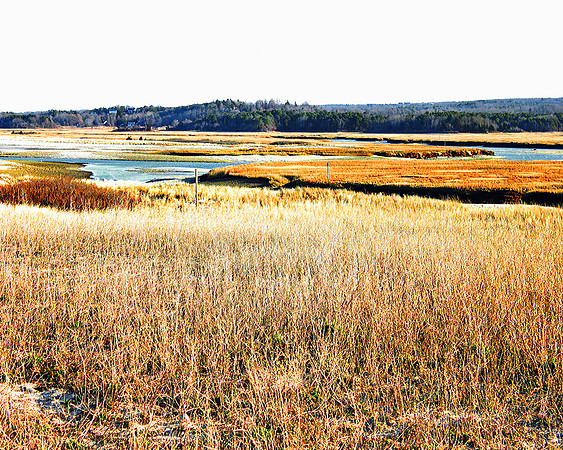 Town Neck Marshes, Sandwich, Cape Cod, MA