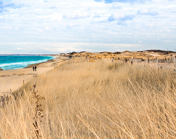 Sandy Neck Beach, Barnstable, Cape Cod, MA