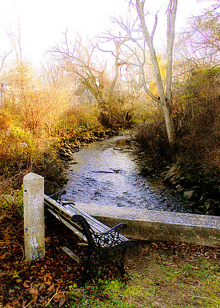 Town Brook, Sandwich, Cape Cod, MA