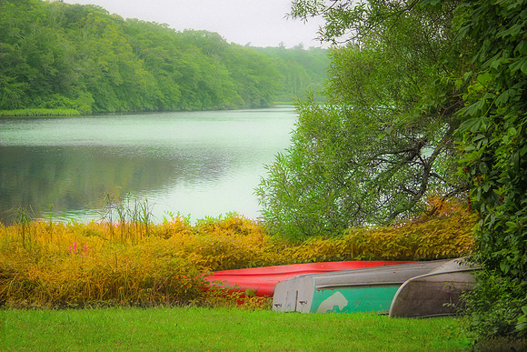 A Serene Moment on Cape Cod