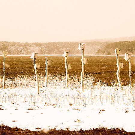 Town_Neck_Bird_Houses-2