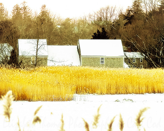 Cape Cod Farm, Massachusetts, New England