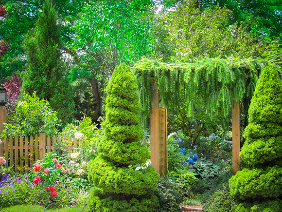 An Oasis in the Sun