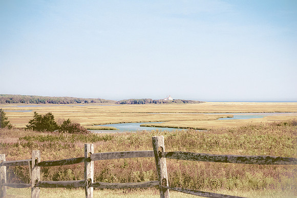 Cape Cod National Seashore