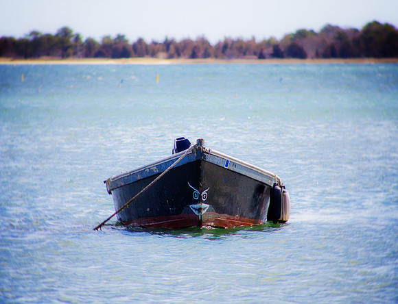 Black Faced Boat