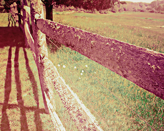 Martha's Vineyard Field and Fence