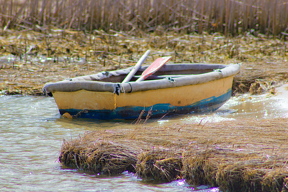 Old Yellow and Blue Rowboat